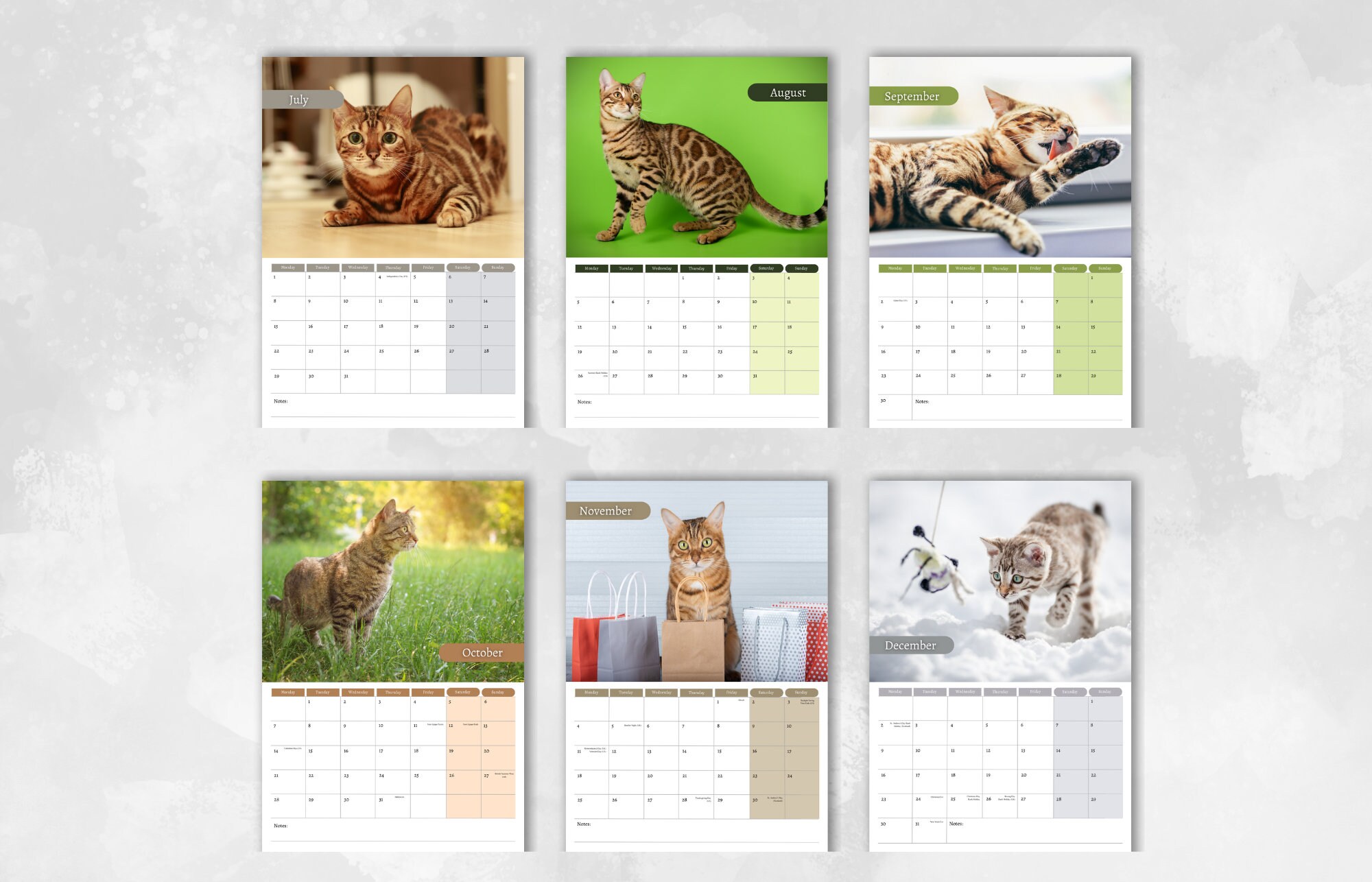 Bengal Cat Calendar 2024 Monthly Wall Calendar, A4 Size Hanging
