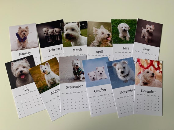 2025 Westie Calendar