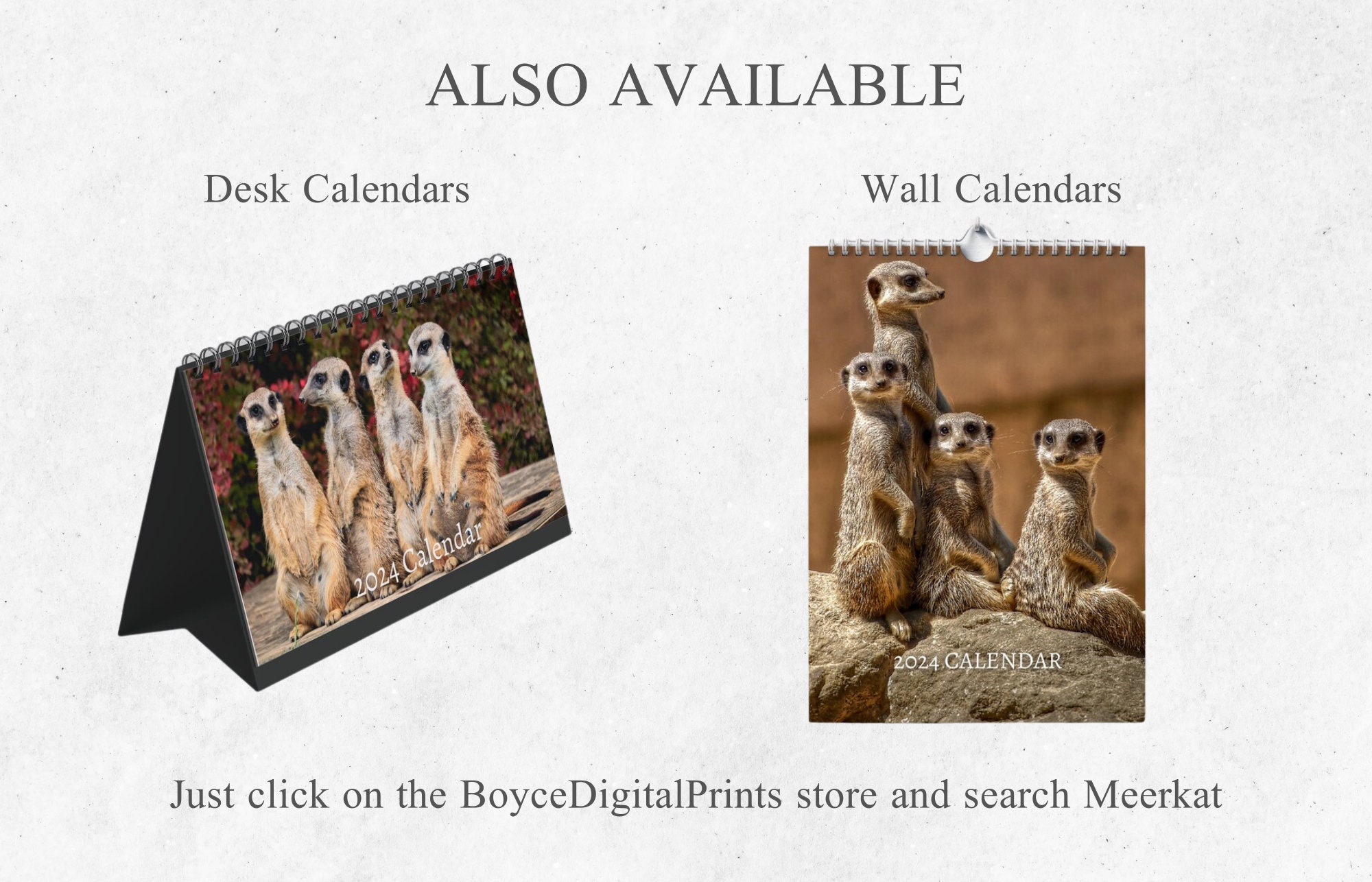 Meerkat Calendar 2024 Mini Desk Calendar Meerkat Calendar Etsy