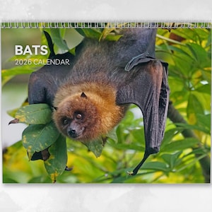 Bat Calendar 2026: Monthly Wall Calendar with Notes, opens to A3 Size, Includes key dates & holidays