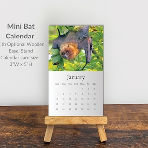 Bat Calendar 2026: Mini Desk Calendar, Bat Calendar 2026-2027, Perfect gift for stocking fillers and Bat lovers