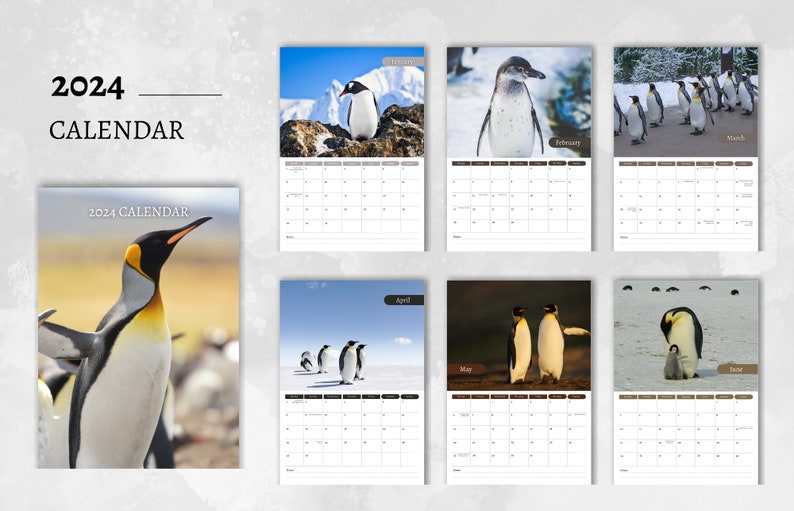 Penguin Calendar 2024 Monthly Wall Calendar, A4 Hanging Calendar