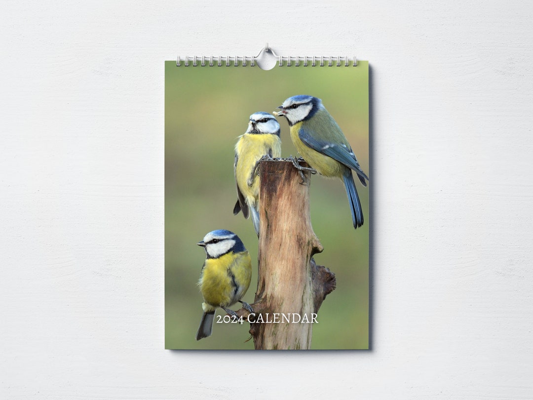 Garden Birds Calendar 2024 Monthly Wall Calendar, A4 Hanging Calendar Perfect Gift for Garden