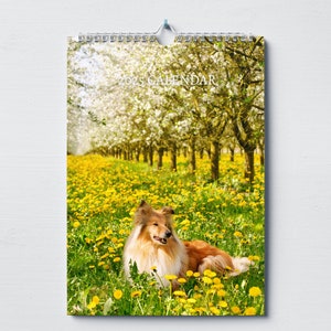 Calendario Collie 2025: calendario mensile da parete con note, formato A4 da appendere, include date e festività chiave del Regno Unito e degli Stati Uniti