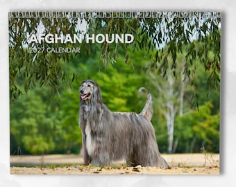 Afghanischer Windhund-Kalender 2027: Monatskalender für die Wand mit Notizfunktion, aufgeklappt im A3-Format, inklusive wichtiger Termine und Feiertage