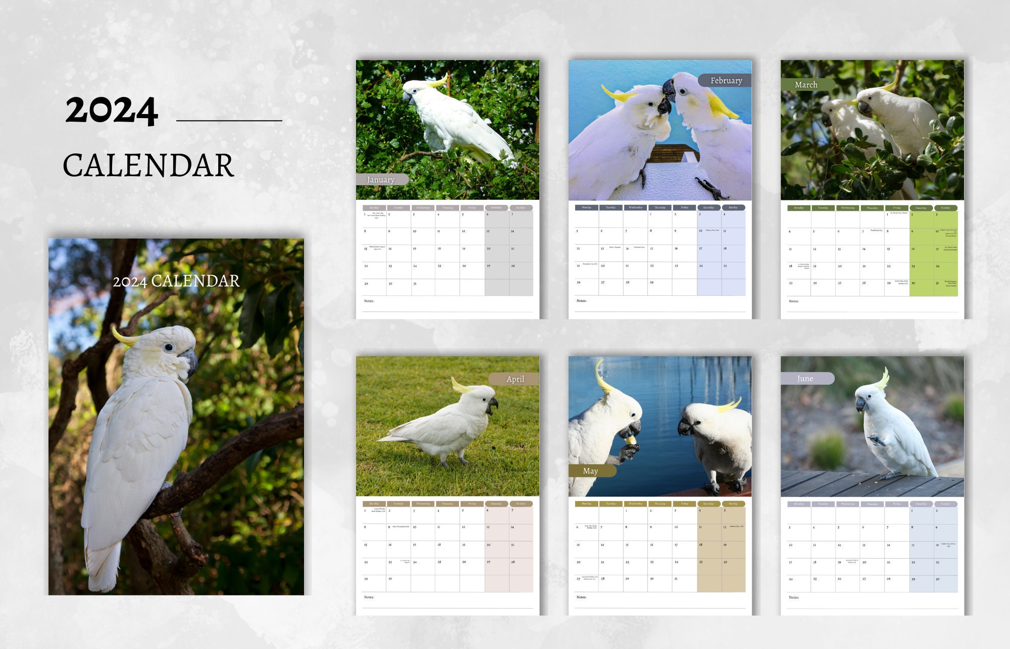 Cockatoo Calendar 2024 Monthly Wall Calendar A4 Size Etsy