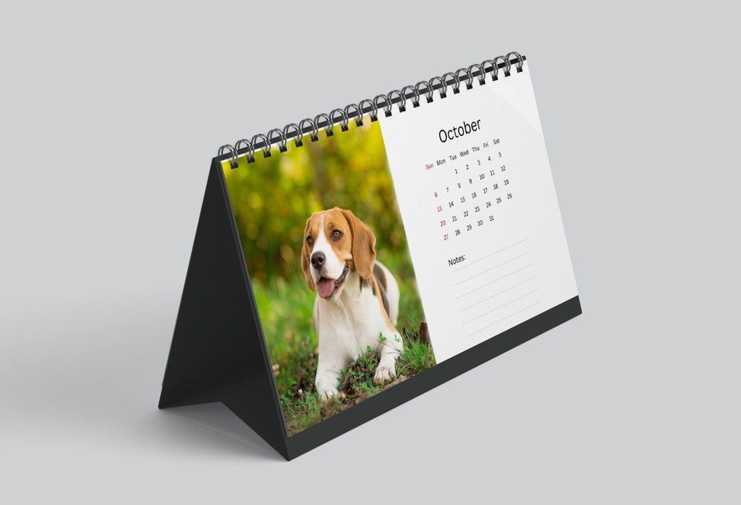 Beagle Desk Calendar 2024 Desktop Calendar Beagle Calendar Etsy