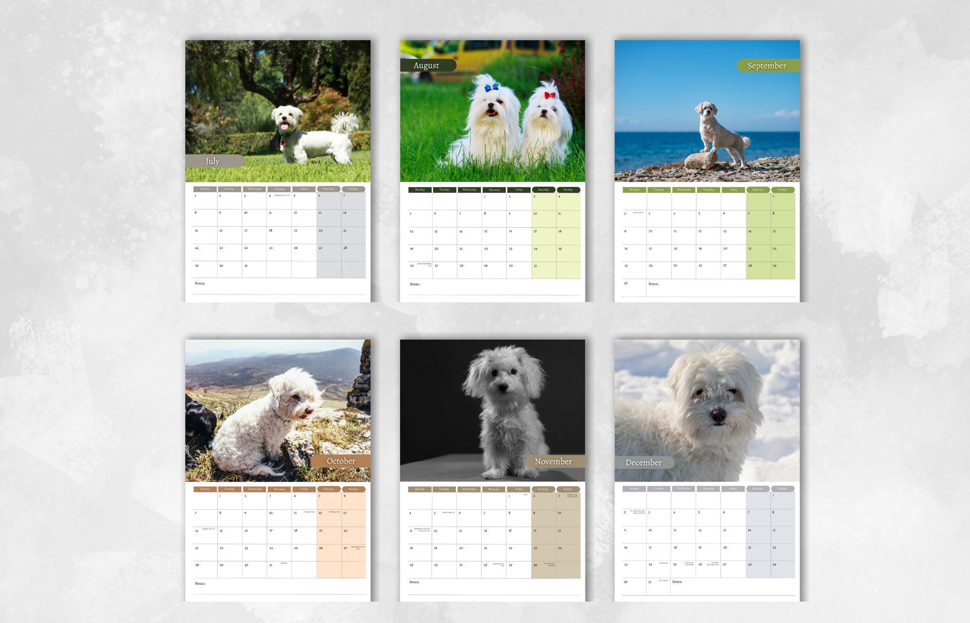 Maltese Dog Calendar 2024 Monthly Wall Calendar, A4 Hanging Calendar