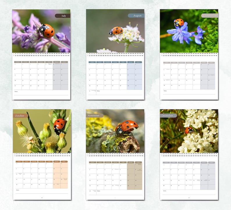 Ladybird Calendar 2026: Monthly Wall Calendar With Notes, Opens to A3 ...