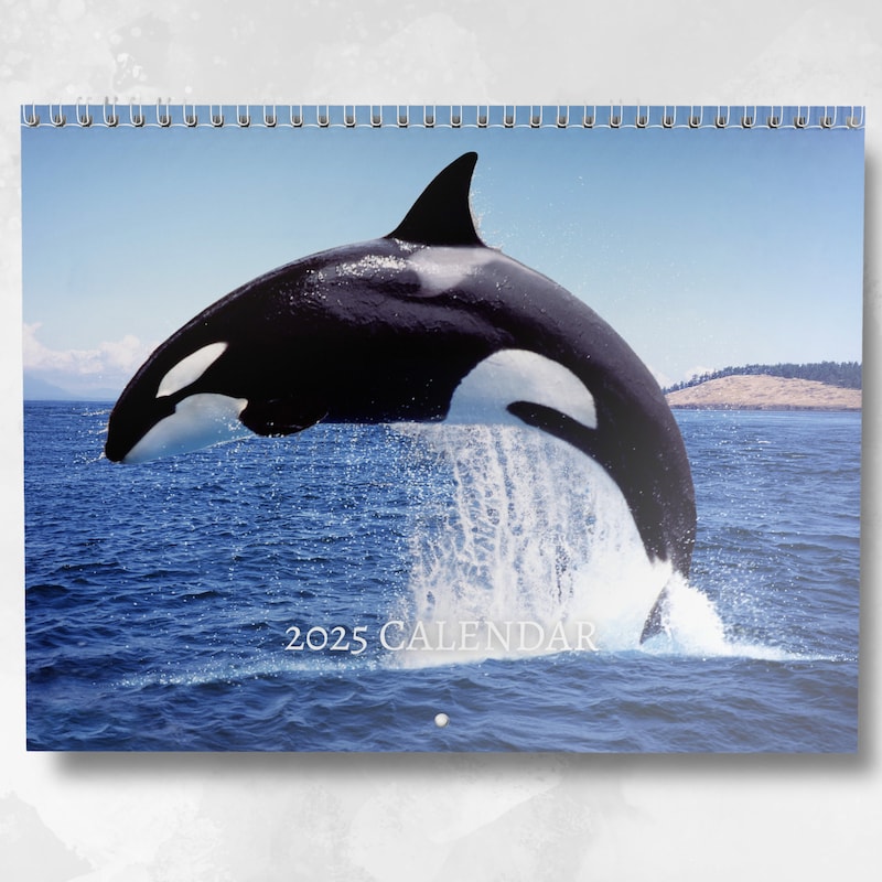 2025 Whale Wall Calendars Etsy