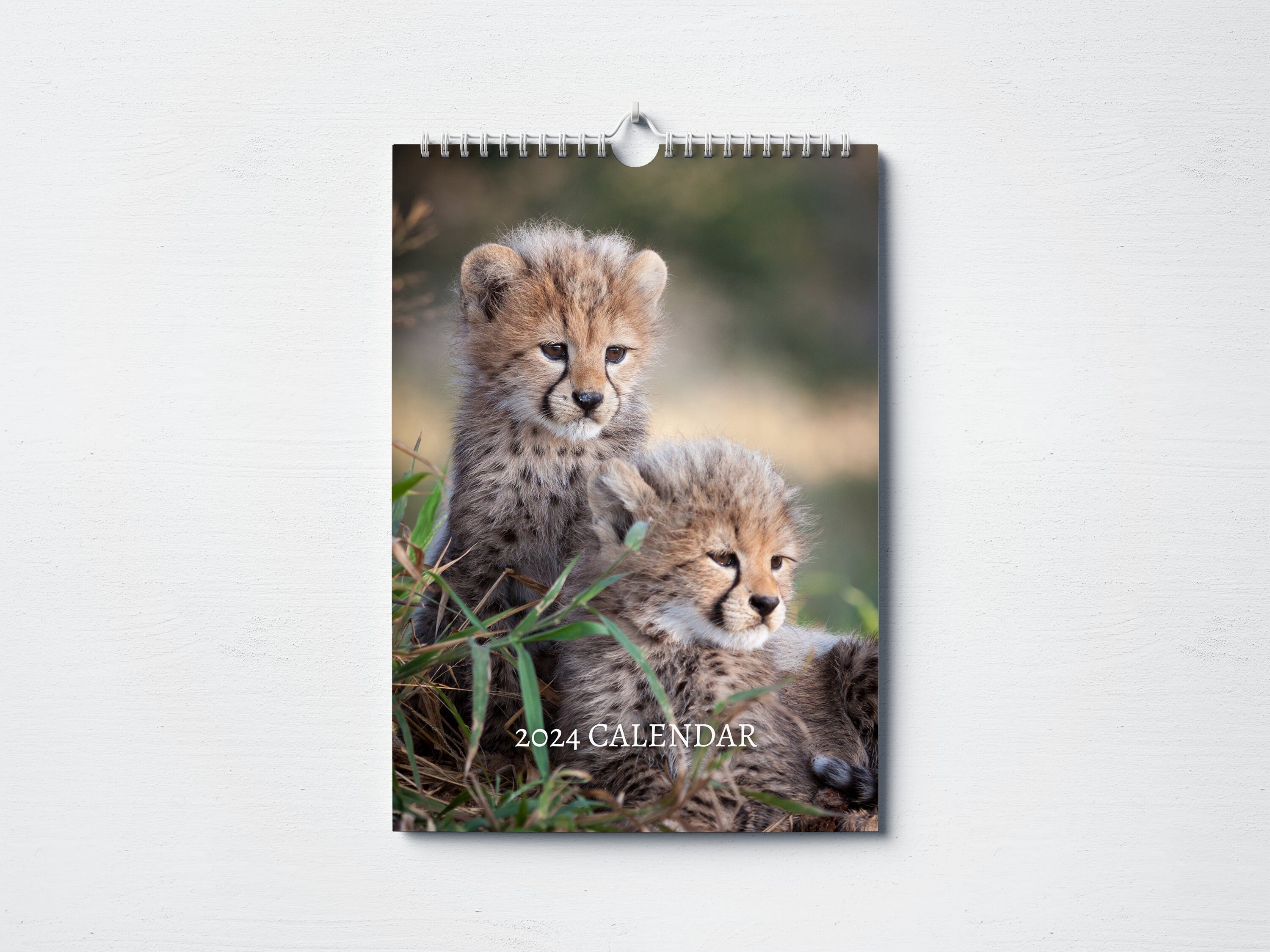 Baby Animals Calendar 2024 Monthly Wall Calendar, A4 Size Hanging
