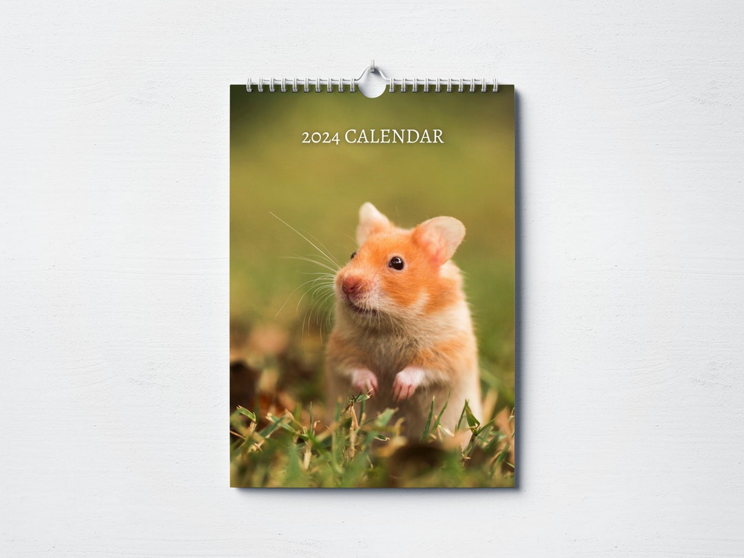 Hamster Calendar 2024 Monthly Wall Calendar, A4 Hanging Calendar