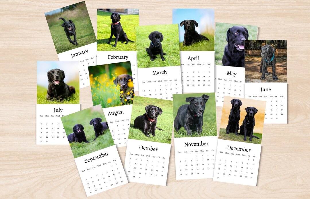 Black Labrador Calendar 2025 Mini Desk Calendar Black Labrador Calendar