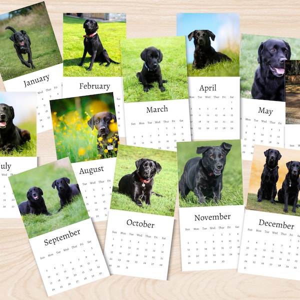 Labrador Calendar 2024 Etsy