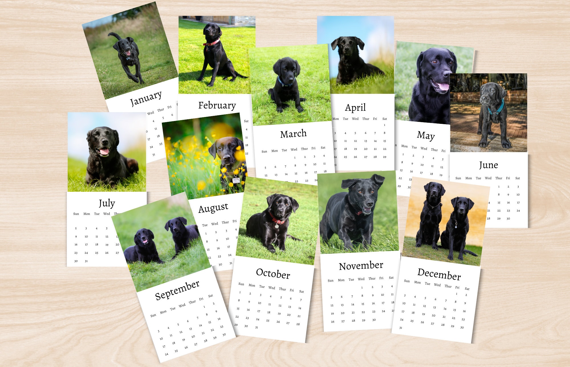 Black Labrador Calendar 2024 Mini Desk Calendar Black Labrador Calendar