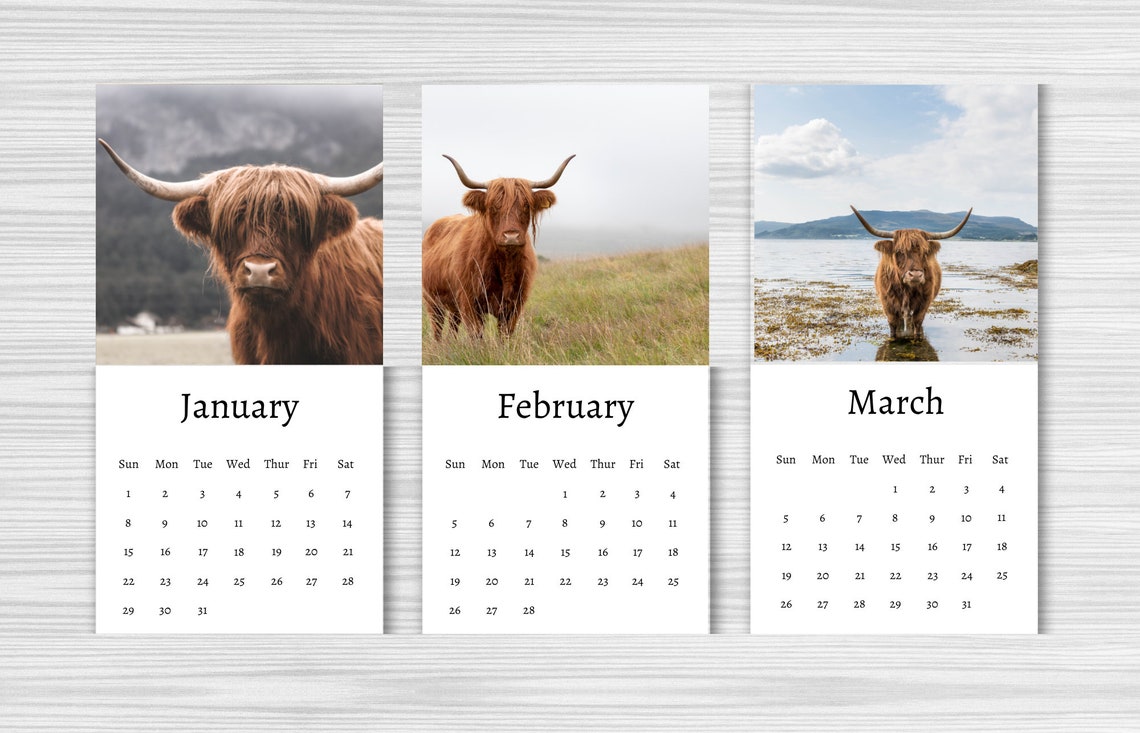 Highland Cow Calendar 2024 Mini Desk Calendar Highland Cow Etsy
