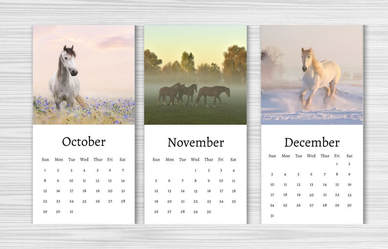 Horse Calendar 2024 Mini Desk Calendar Horse Calendar Etsy