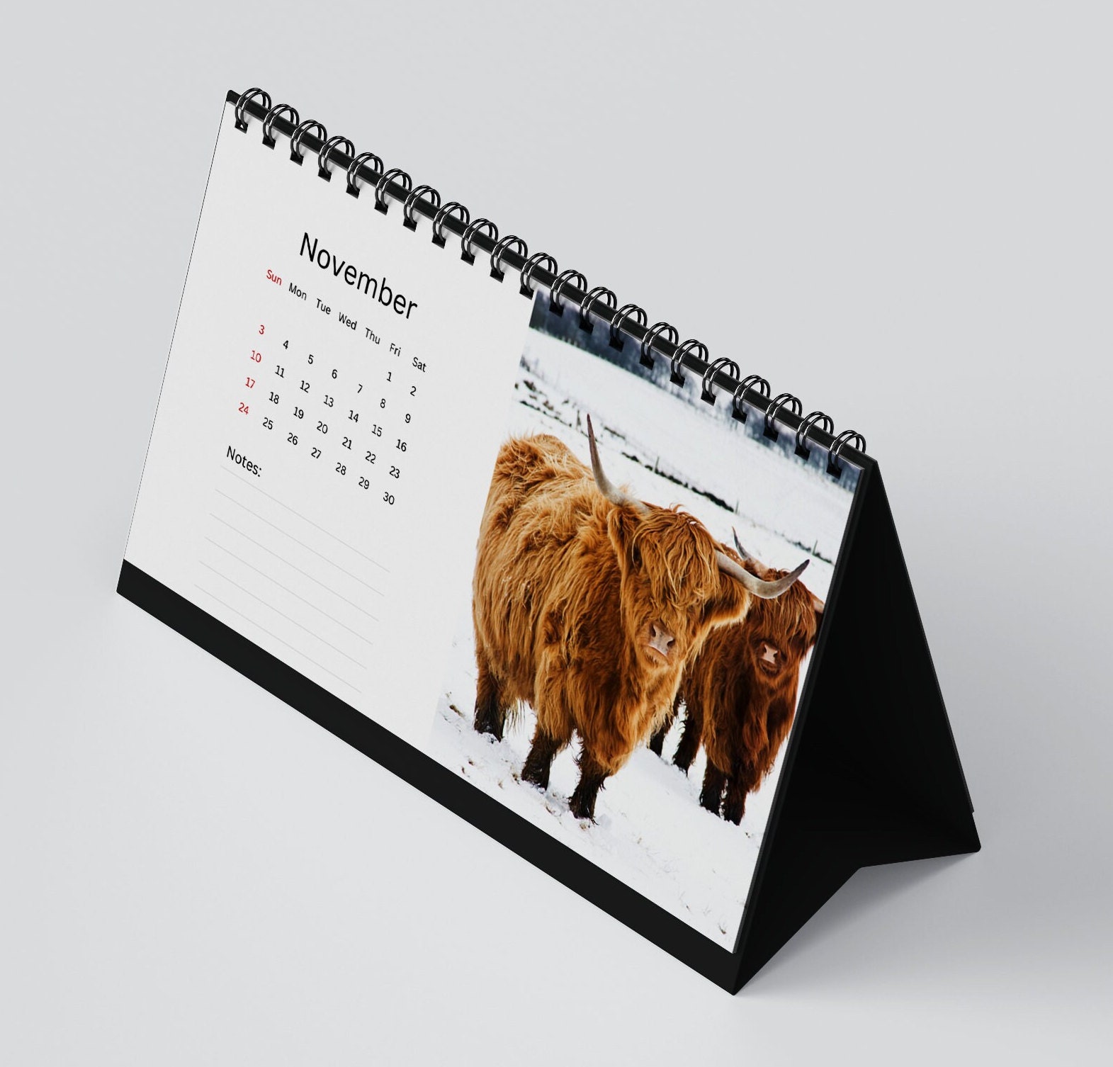 Highland Cow Desk Calendar 2024 Desktop Calendar Highland Cow Calendar