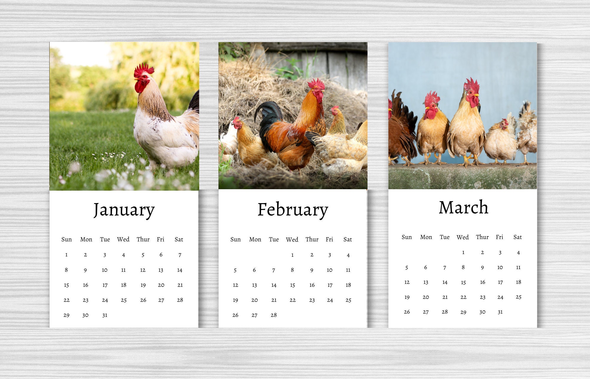 Chicken Calendar 2024 Mini Desk Calendar Chicken Calendar 20242025