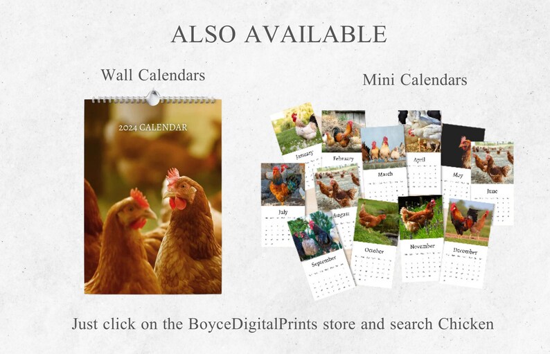 Chicken Calendar 2024 Desk Calendar Chicken Calendar Etsy UK