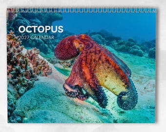 Octopus Calendar 2027: Monthly Wall Calendar with Notes, opens to A3 Size, Includes key dates & holidays