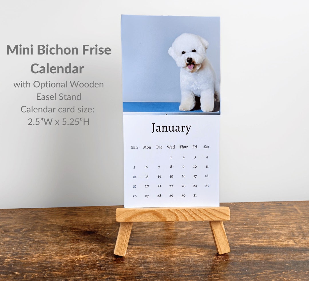 Bichon Frise Calendar 2025 Mini Desk Calendar, Bichon Frise Calendar