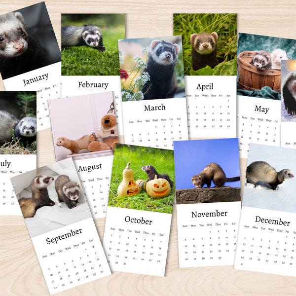 2024 Ferret Calendar Etsy