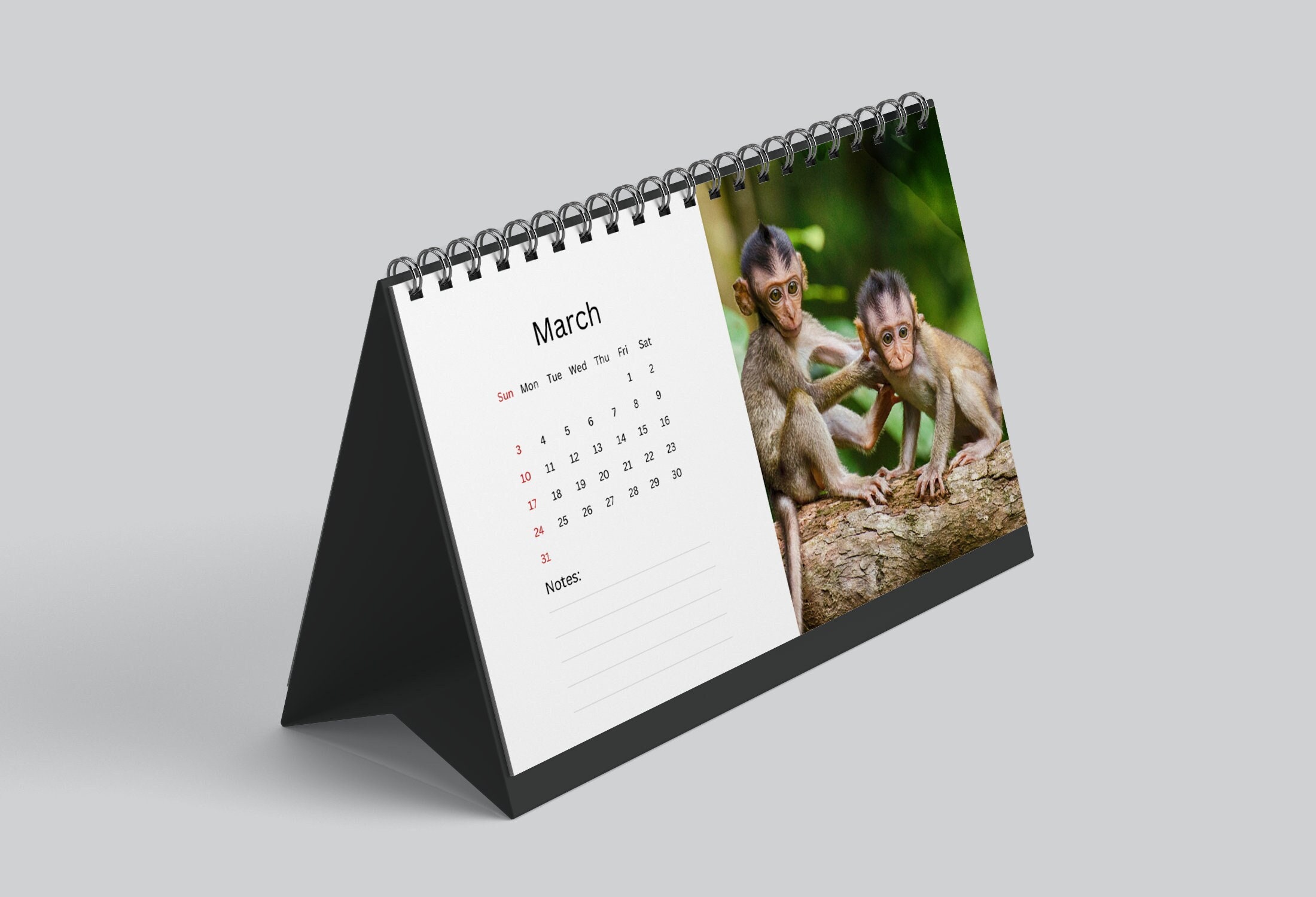 Monkey Desk Calendar 2024 Desktop Calendar Monkey Calendar 20242025