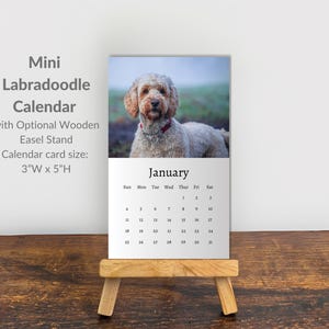 Labradoodle Calendar 2026: Mini Desk Calendar, Labradoodle Calendar 2026-2027, Perfect gift for stocking fillers and Labradoodle lovers