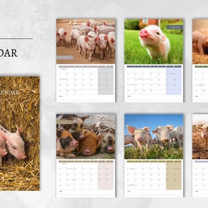Pigs Calendar 2024 Monthly Wall Calendar A4 Hanging Etsy