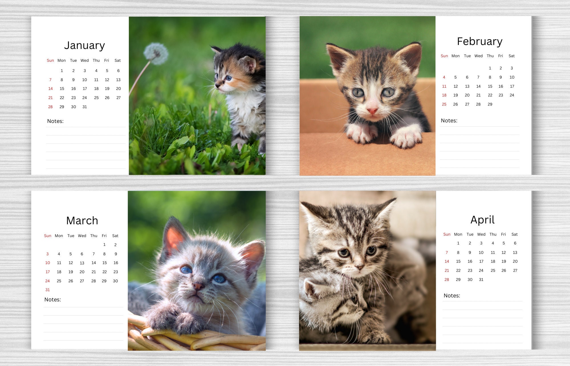 Kitten Desk Calendar 2024 Desktop Calendar Kitten Calendar Etsy