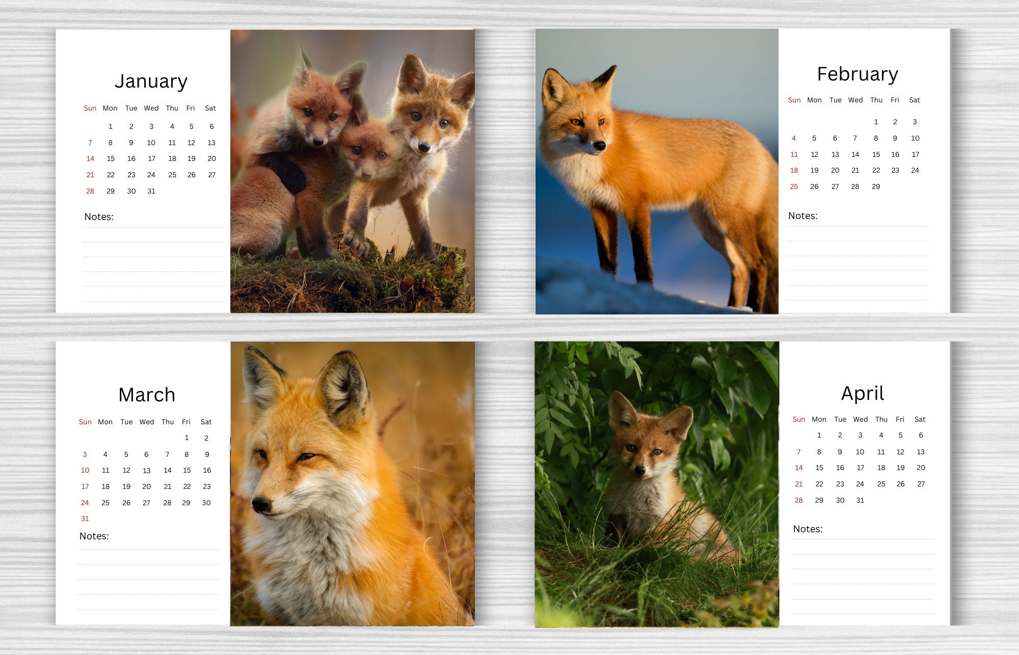 Fox Desk Calendar 2024 Desktop Calendar Fox Calendar Etsy