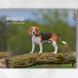 Puede incluir: Un calendario de pared para 2027 con un perro Beagle de pie sobre una rama de árbol cubierta de musgo. La portada muestra el texto BEAGLE 2027 CALENDAR en letras blancas sobre un fondo verde desenfocado. El calendario tiene una espiral metálica.