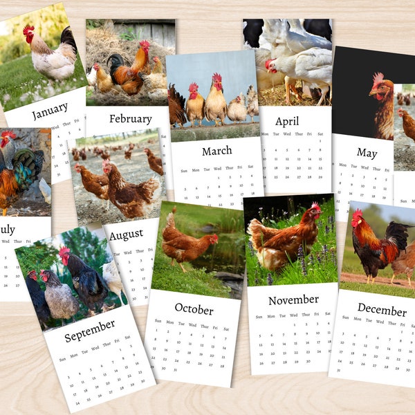 Chicken Lovers Gift Etsy