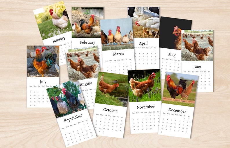 Chicken Calendar 2025 Mini Desk Calendar Chicken Calendar 20242025