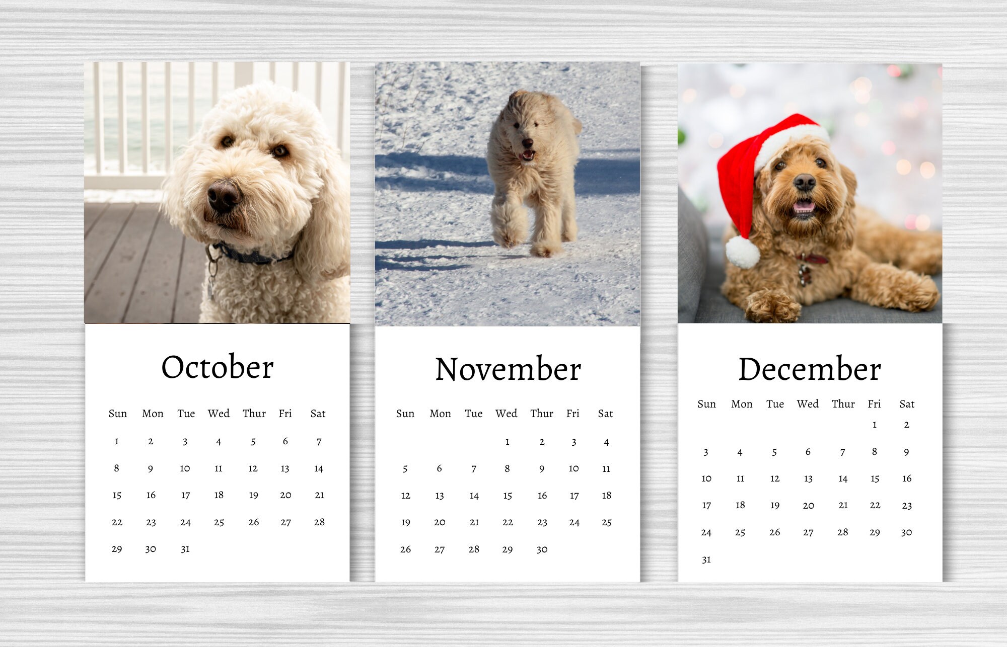 Labradoodle Calendar 2024 Mini Desk Calendar Labradoodle Etsy Australia