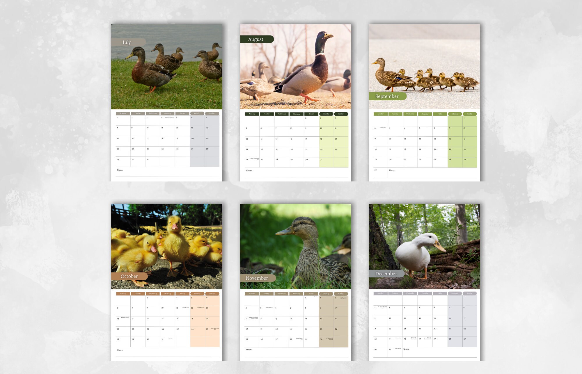 Duck Calendar 2024 Monthly Wall Calendar, A4 Size Hanging Calendar