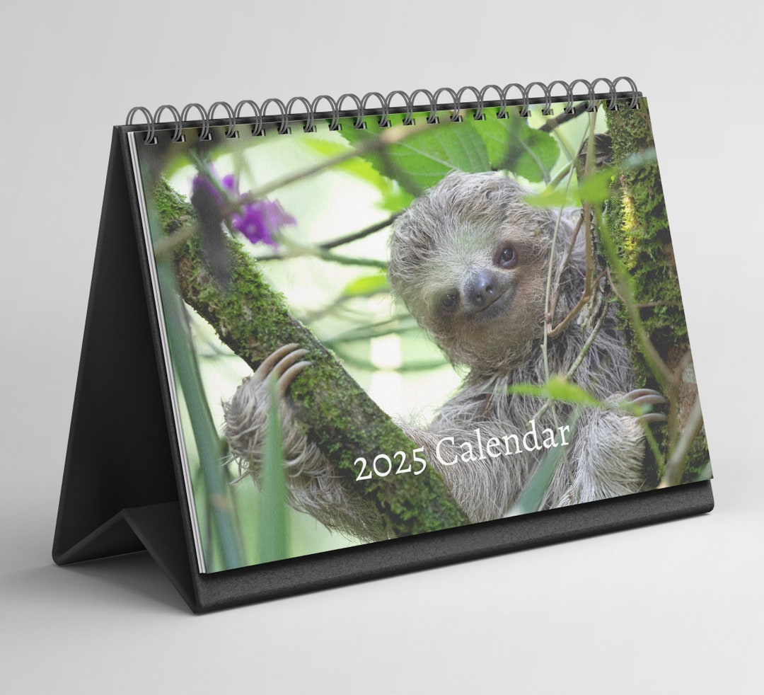 Sloth Desk Calendar 20252026 Standing Flip Desktop Calendar With