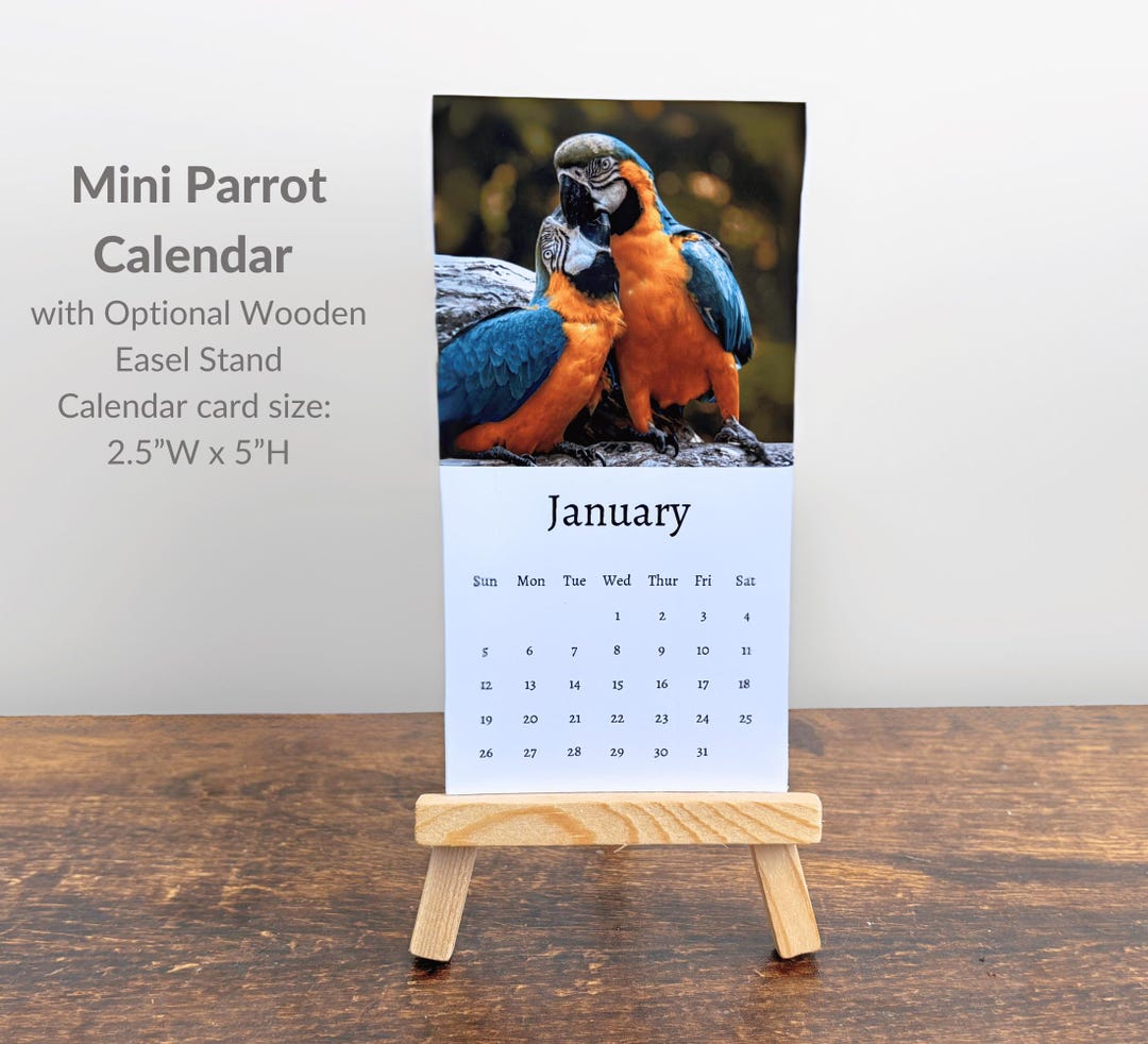 Parrot Calendar 2025 Mini Desk Calendar, Parrot Calendar 20252026