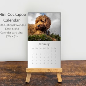 Könnte beinhalten: Ein Mini-Cockapoo-Kalender mit optionalem Holzständer. Die Kalenderkarte misst 7,62 cm in der Breite und 12,7 cm in der Höhe. Der obere Teil zeigt ein Foto eines braunen Cockapoo-Hundes, während der untere Teil den Monat Januar anzeigt.