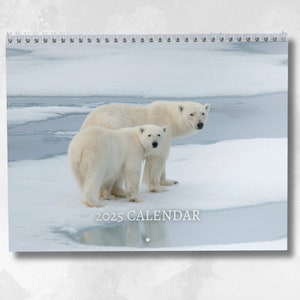 Calendario orso polare 2025: calendario mensile da parete con note, si apre in formato A3, include date e festività chiave