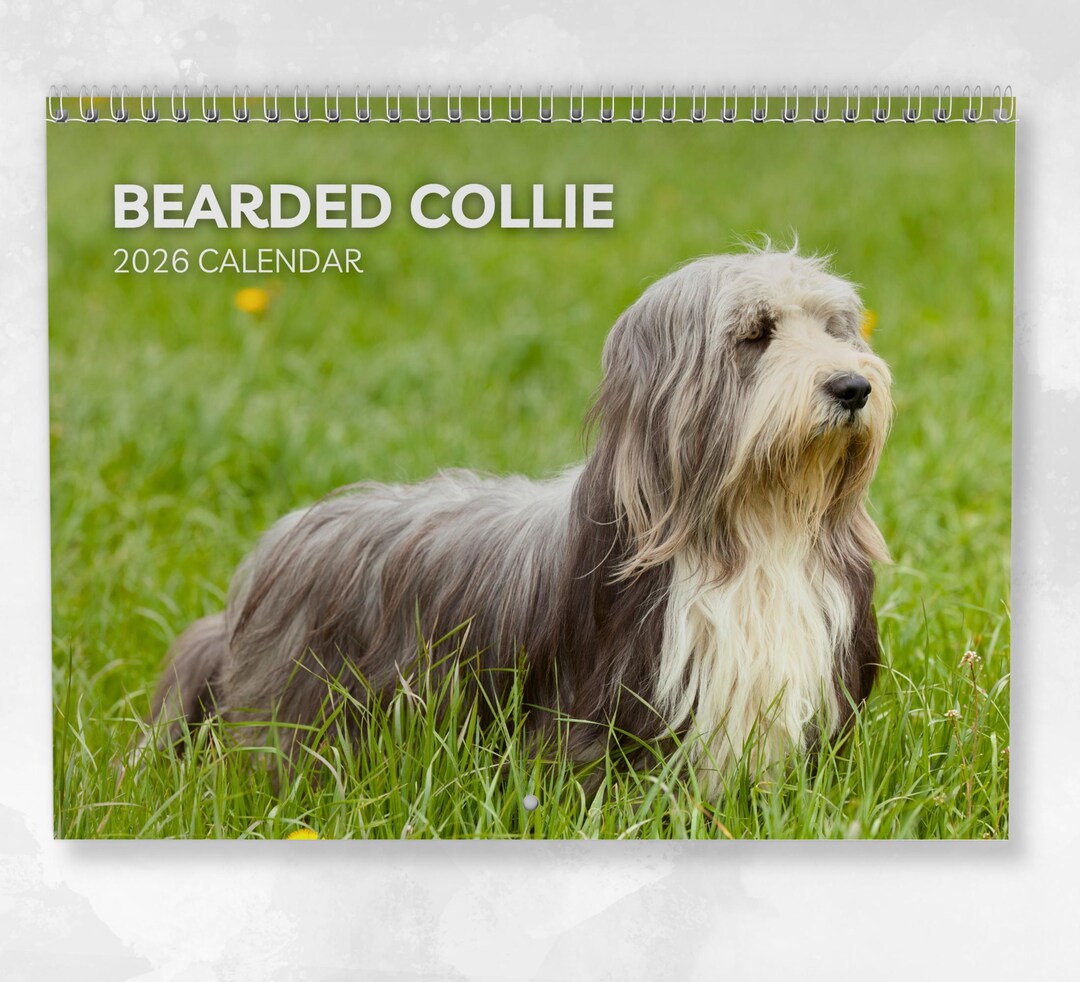 Calendario Snoopy 2026 MICASA Border Collies 2023 Calendario Mensual De Pared Colgante | 12 X Calendario Perritos 2026