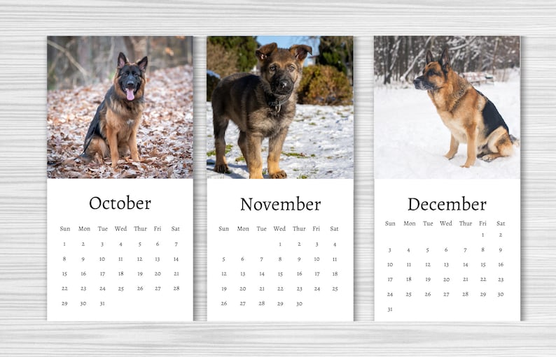 German Shepherd Calendar 2024 Mini Desk Calendar German Etsy