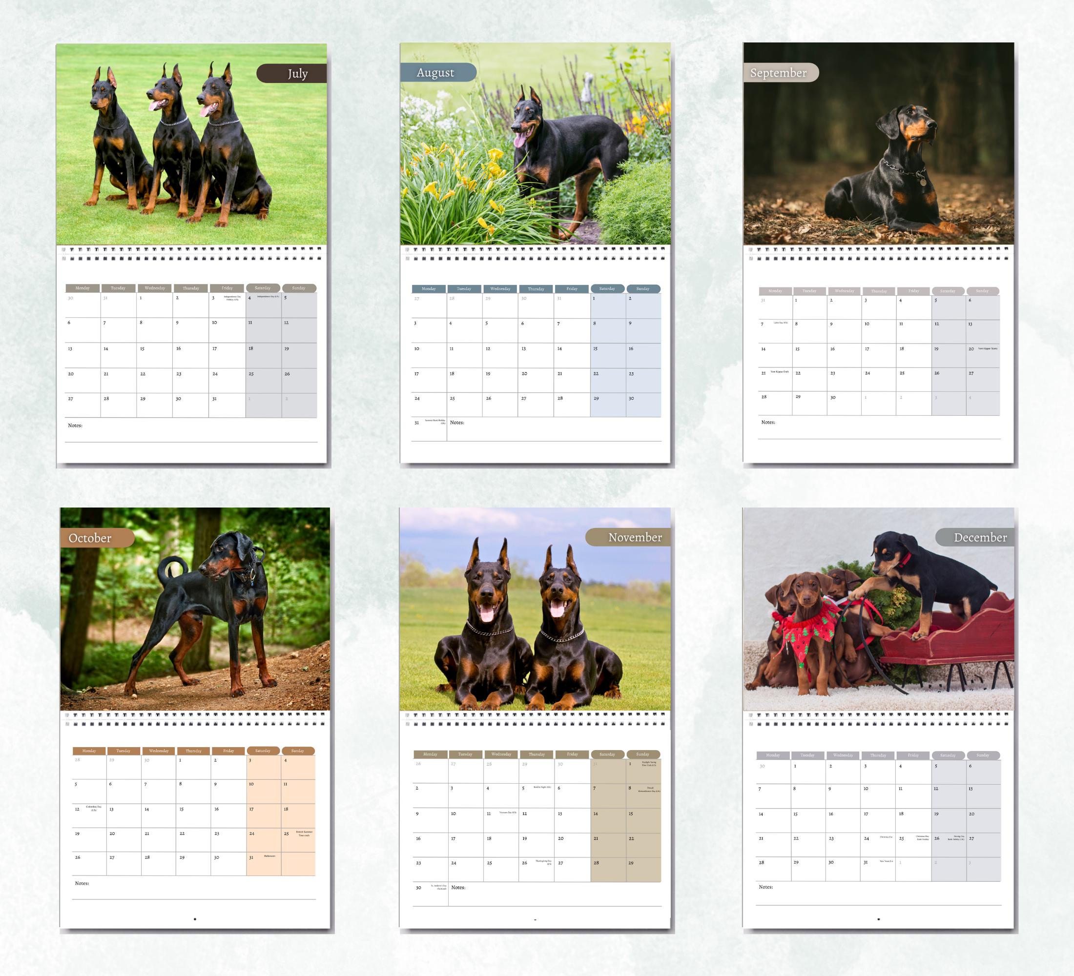 Calendario Da Parete 2026 Con Razza Di Cane Dobermann | 16 Mesi, Formato Quadrato