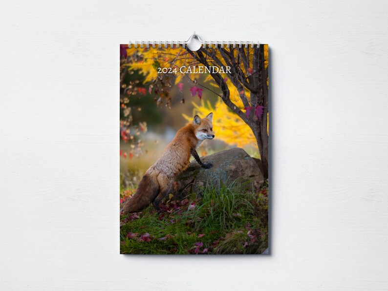 Fox Calendar 2024 Monthly Wall Calendar A4 Hanging Etsy Fox Calendar 2024 Monthly Wall Calendar A4 Hanging Etsy