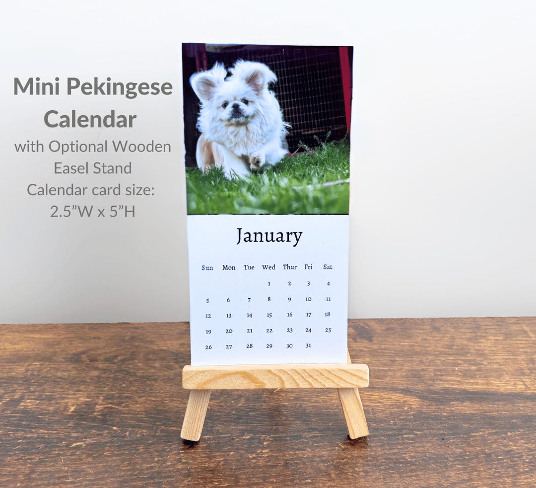 Pekingese Calendar 2025 Mini Desk Calendar, Pekingese Calendar 2025