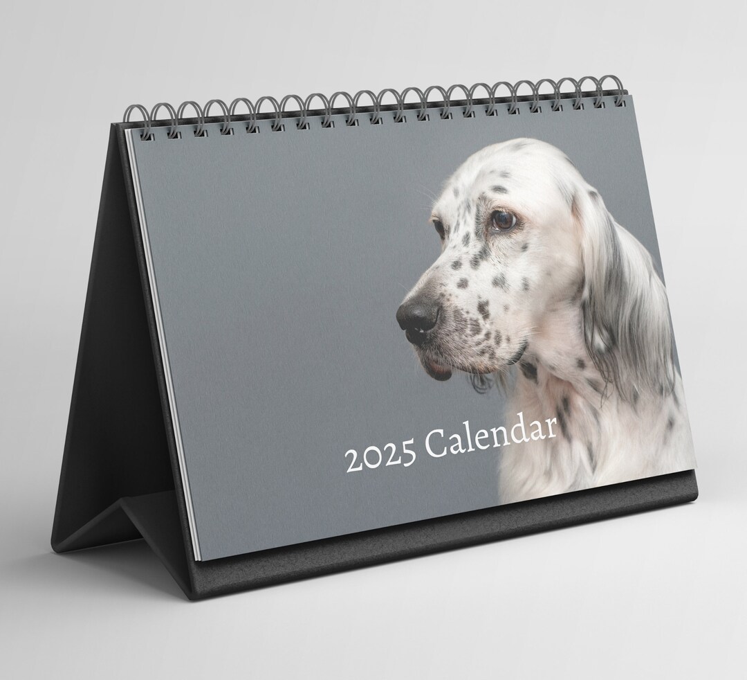 English Setter Desk Calendar 20252026 Standing Flip Desktop Calendar