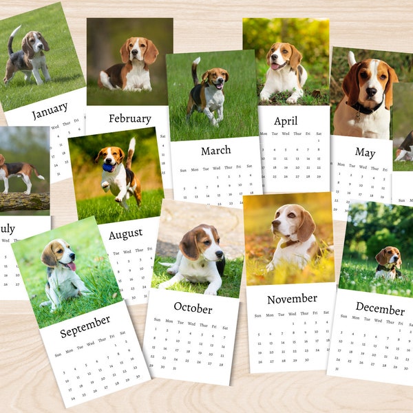 2025 Beagle Calendar Etsy