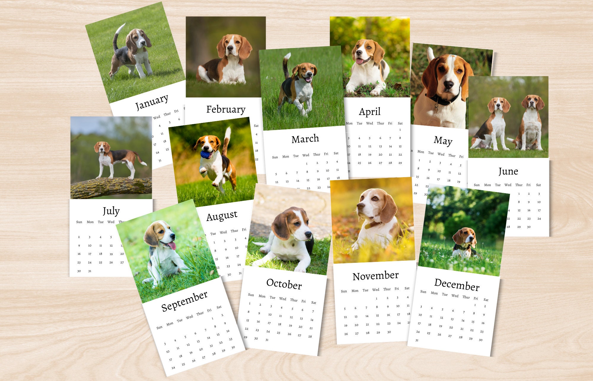 Beagle Calendar 2024 Mini Desk Calendar Beagle Calendar Etsy UK