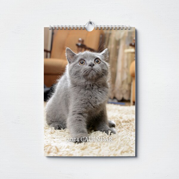Cat Calendar Etsy